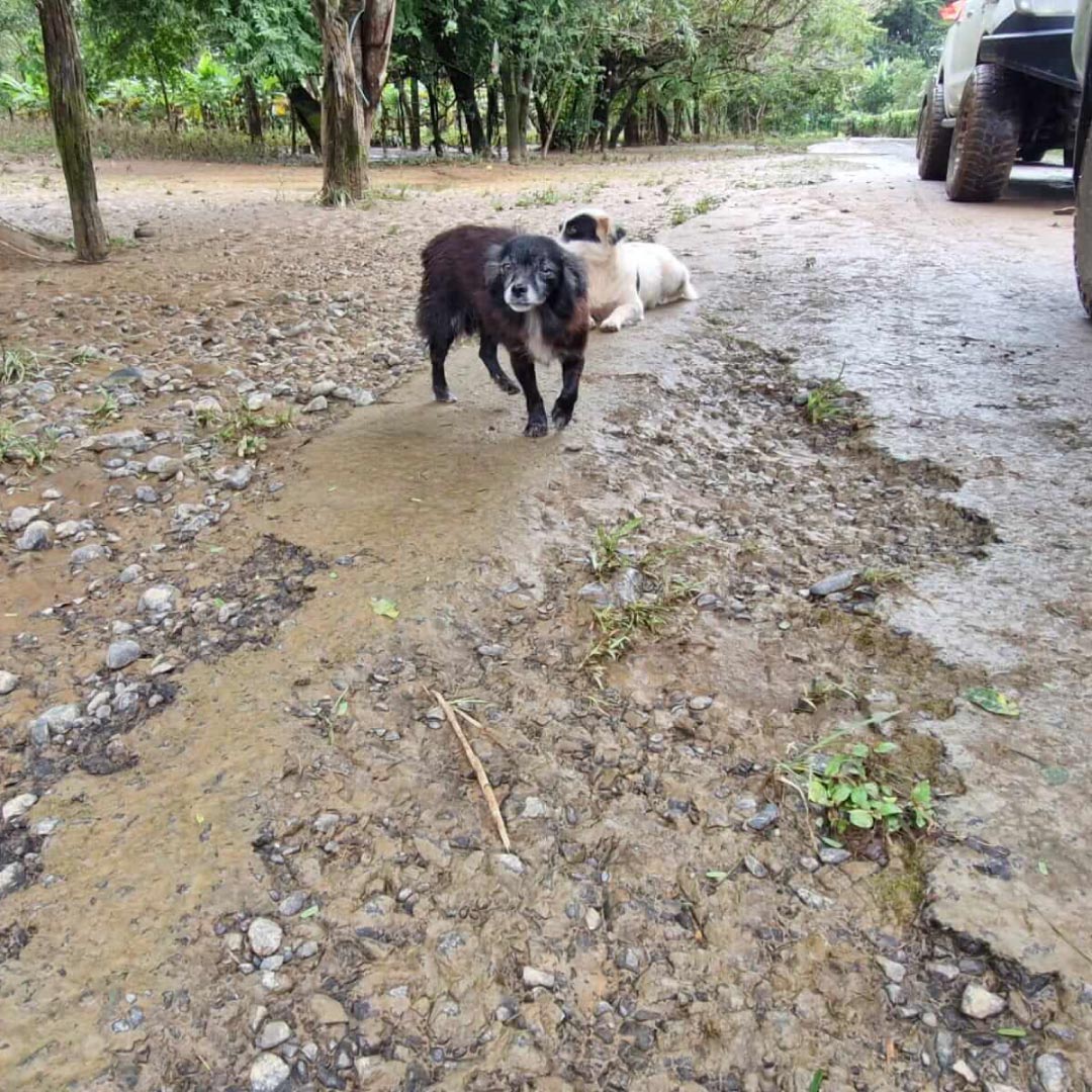 Galería Donaciones Inundaciones 1080x1080 (4)