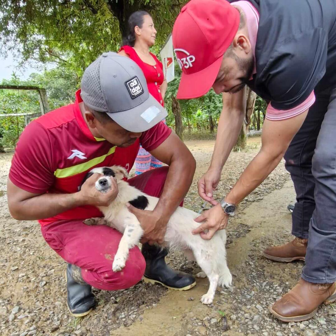 Galería Donaciones Inundaciones 1080x1080 (5)