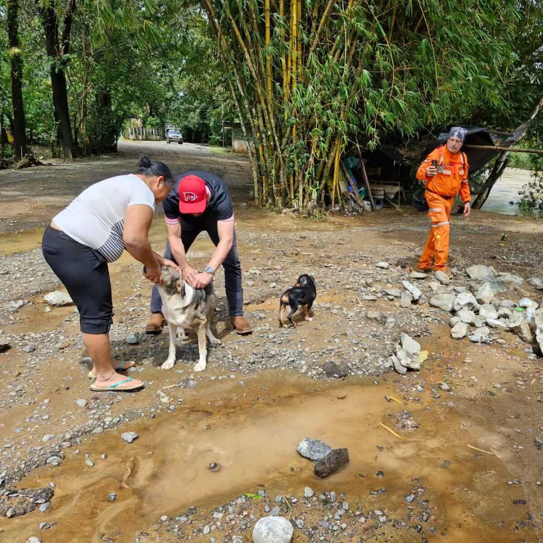 Galería Donaciones Inundaciones 1080x1080 (8)