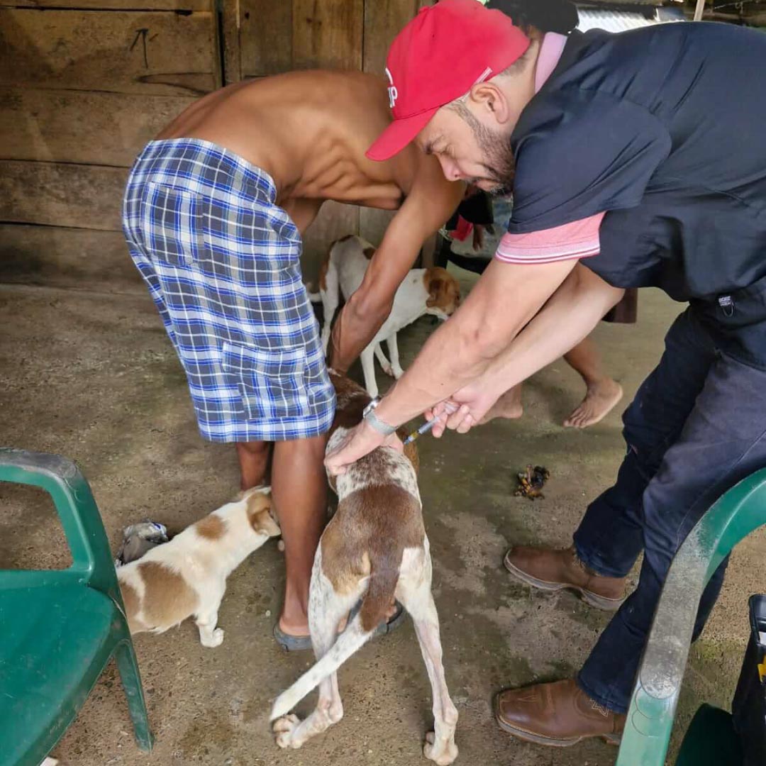 Galería Donaciones Inundaciones 1080x1080 (9)