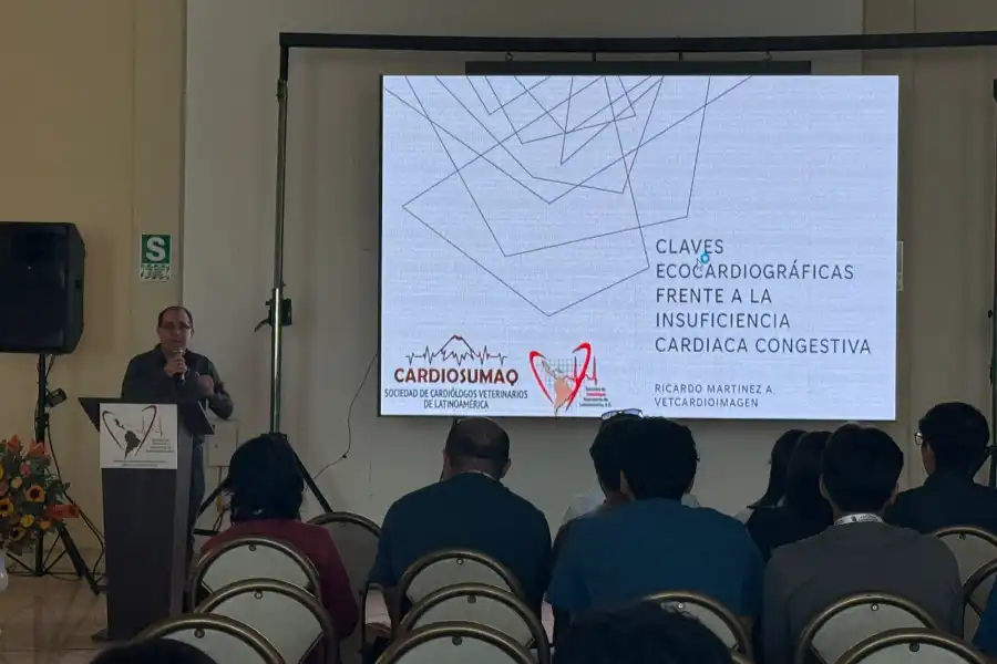 Galería VII Congreso Latinoamericano de Cardiología Veterinaria 900x600 (1)