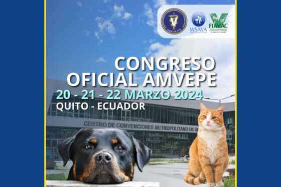 Congreso AMVEPE Quito 2024