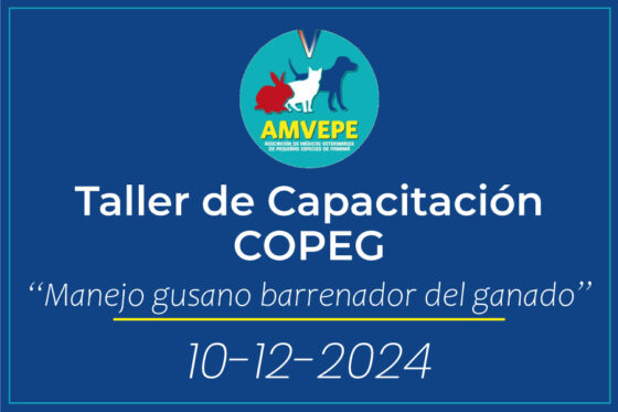 Taller de Capacitación COPEG