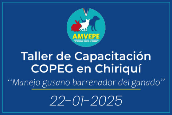 Taller de Capacitación COPEG en Chiriquí