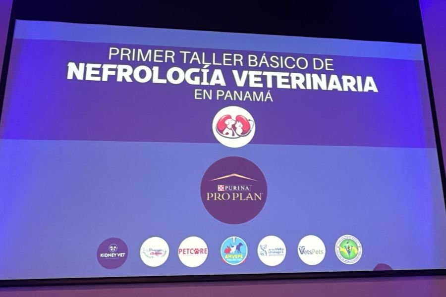 Galería Primer Taller de Nefrología Veterinaria 900x600 (5)