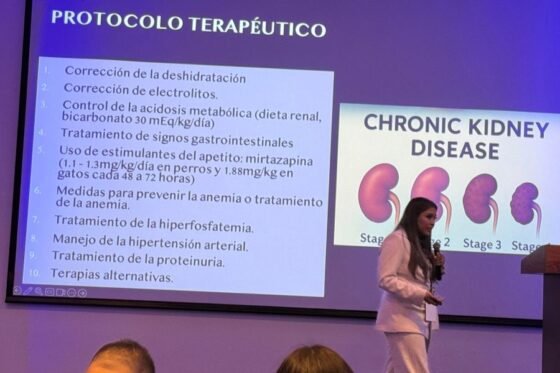 Presentación Vet Evolution en el Primer Taller de Nefrología Veterinaria