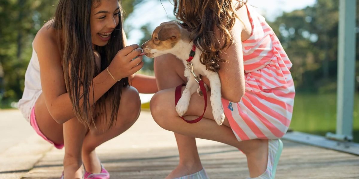 Documento 4 - Cuidando de Nuestros Perros
